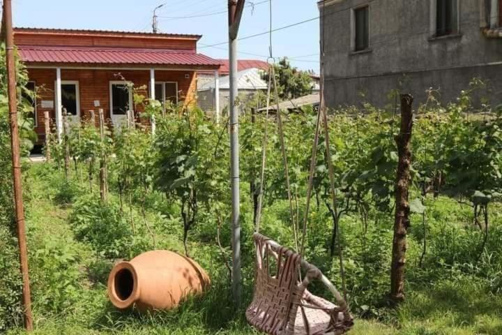 Cottage And Gigo Papa'S Wine Cellar Кварели Экстерьер фото