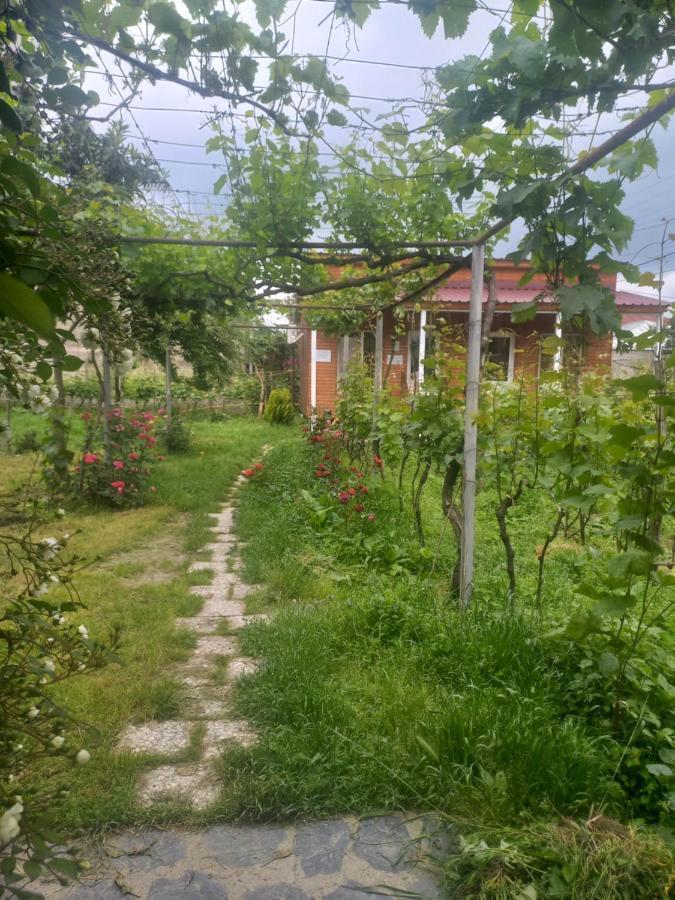 Cottage And Gigo Papa'S Wine Cellar Кварели Экстерьер фото