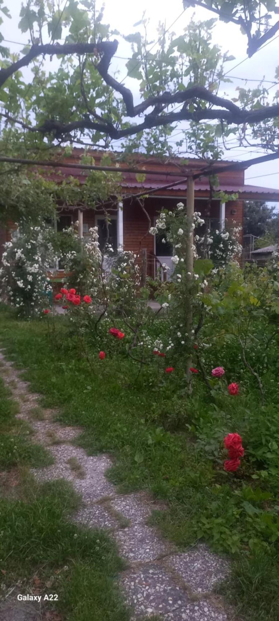 Cottage And Gigo Papa'S Wine Cellar Кварели Экстерьер фото